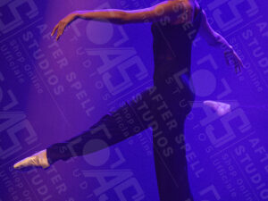 Gaffurio Gallery - II Tempo - Foto 82