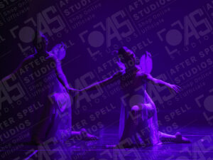 Sogno di una Notte di Mezza Estate - Foto 2