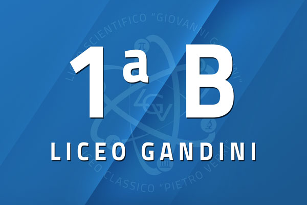 1 B