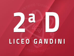 2 D