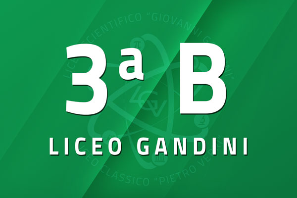 3 B