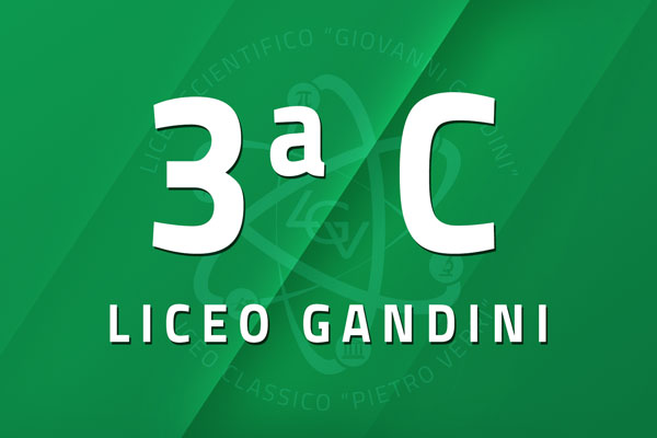 3 C