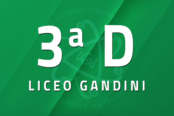 3 D