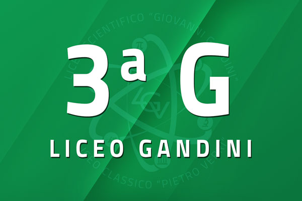 3 G