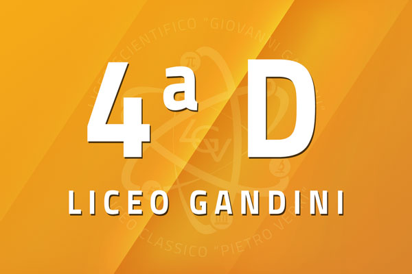 4 D