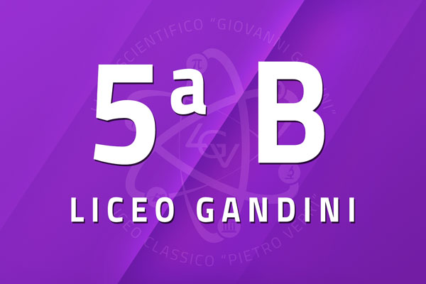 5 B