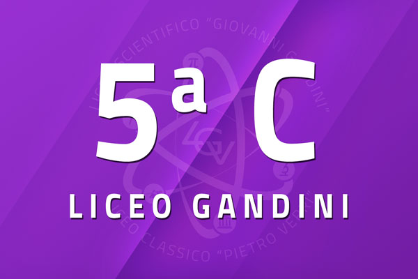 5 C