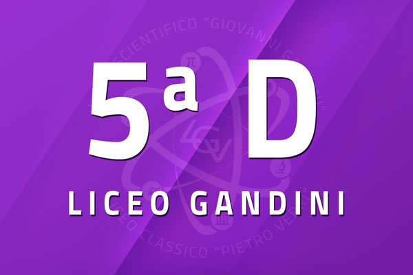 5 D