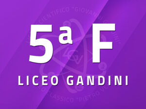 5 F